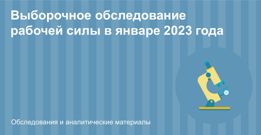 Выборочное обследование рабочей силы в январе 2023 года